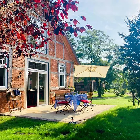 Idyllic Vacation In The Elbe Floodplains