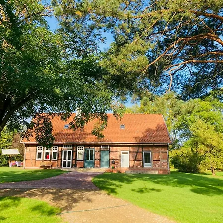 Idyllic Vacation In The Elbe Floodplains *