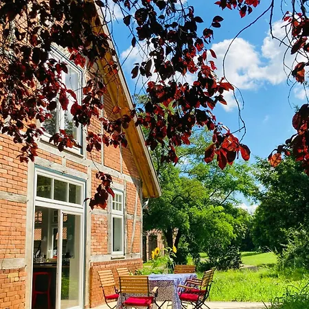 Idyllic Vacation In The Elbe Floodplains بيت للعطل Schnackenburg