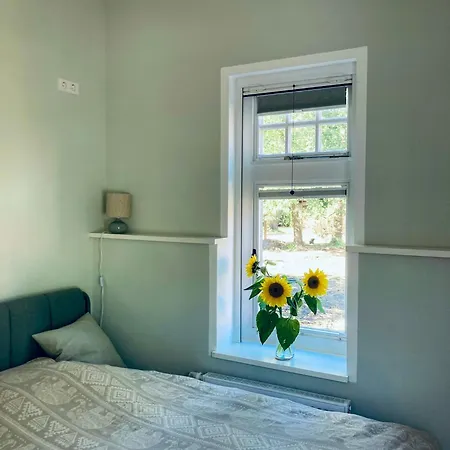 Idyllic Vacation In The Elbe Floodplains Tatil Evi