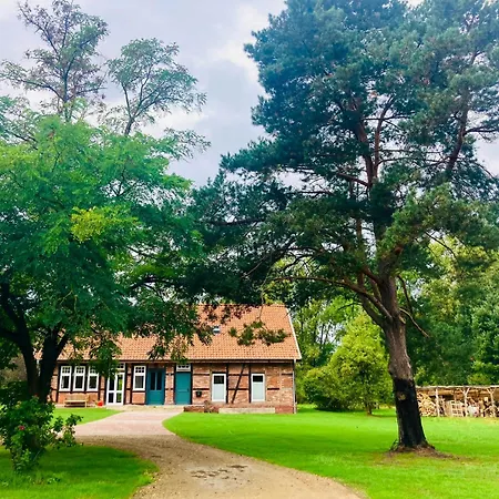 Idyllic Vacation In The Elbe Floodplains