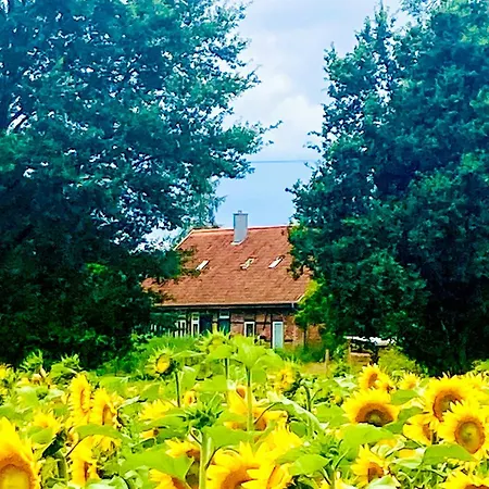 Hébergement de vacances Idyllic Vacation In The Elbe Floodplains