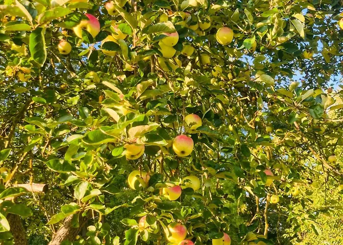 Vakantiehuis Idyllic Vacation In The Elbe Floodplains *