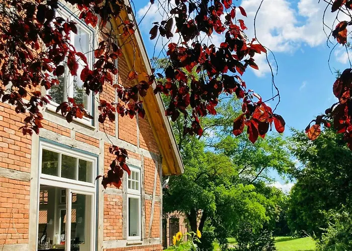 Idyllic Vacation In The Elbe Floodplains Schnackenburg